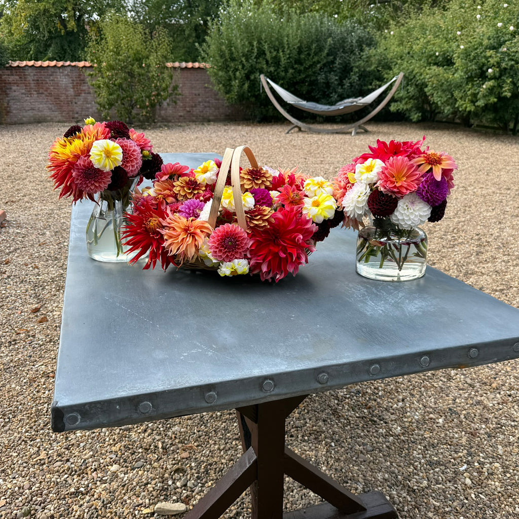 Mixed Dahlias